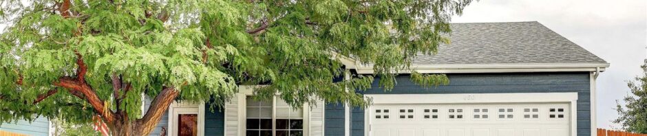Sharpe Farms Dacono Homes For Sale